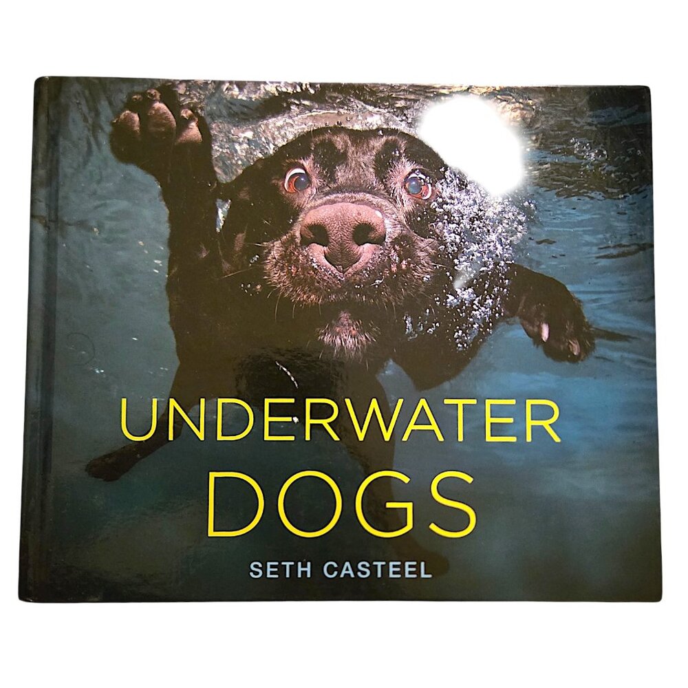 Underwater Dogs by Seth Casteel Photography Book Funny Dog Portraits